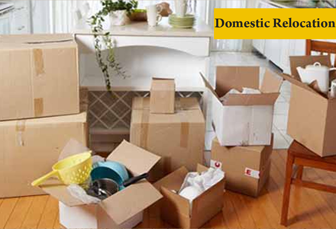  Packers and Movers